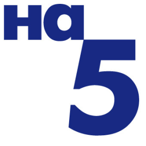 Русский язык на 5